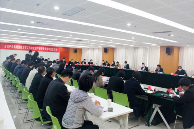 推动党建力量融入产业链海安成立18个产业链党委